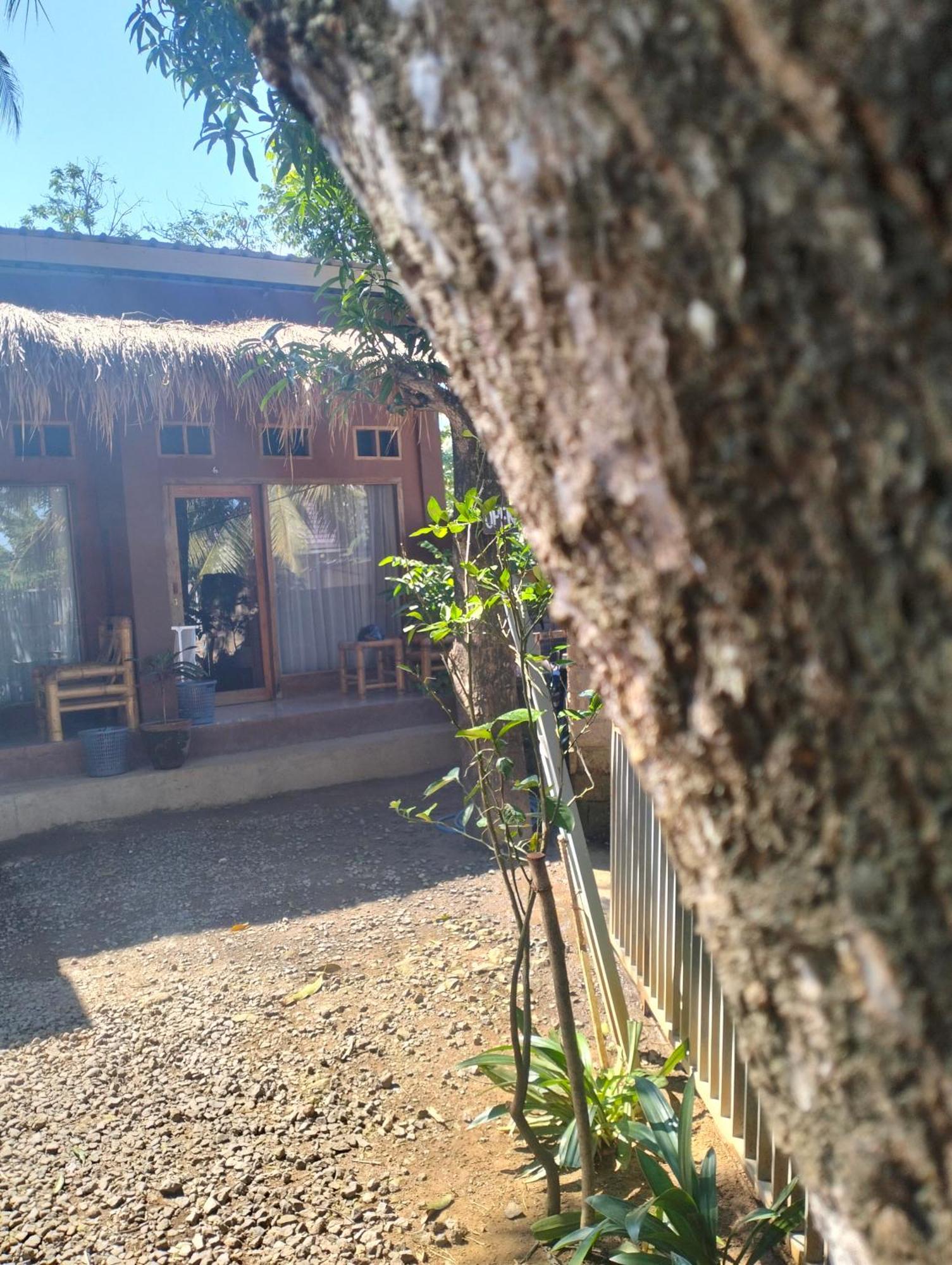 Fullmoon Homestay Kuta  Exteriér fotografie